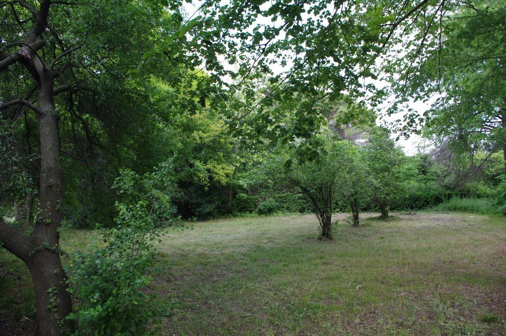 Chateau Le Vergel Authenac Ginestas Szoba fotó