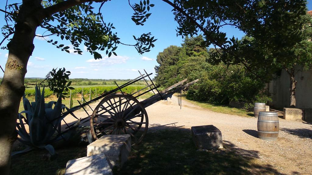 Chateau Le Vergel Authenac Ginestas Szoba fotó