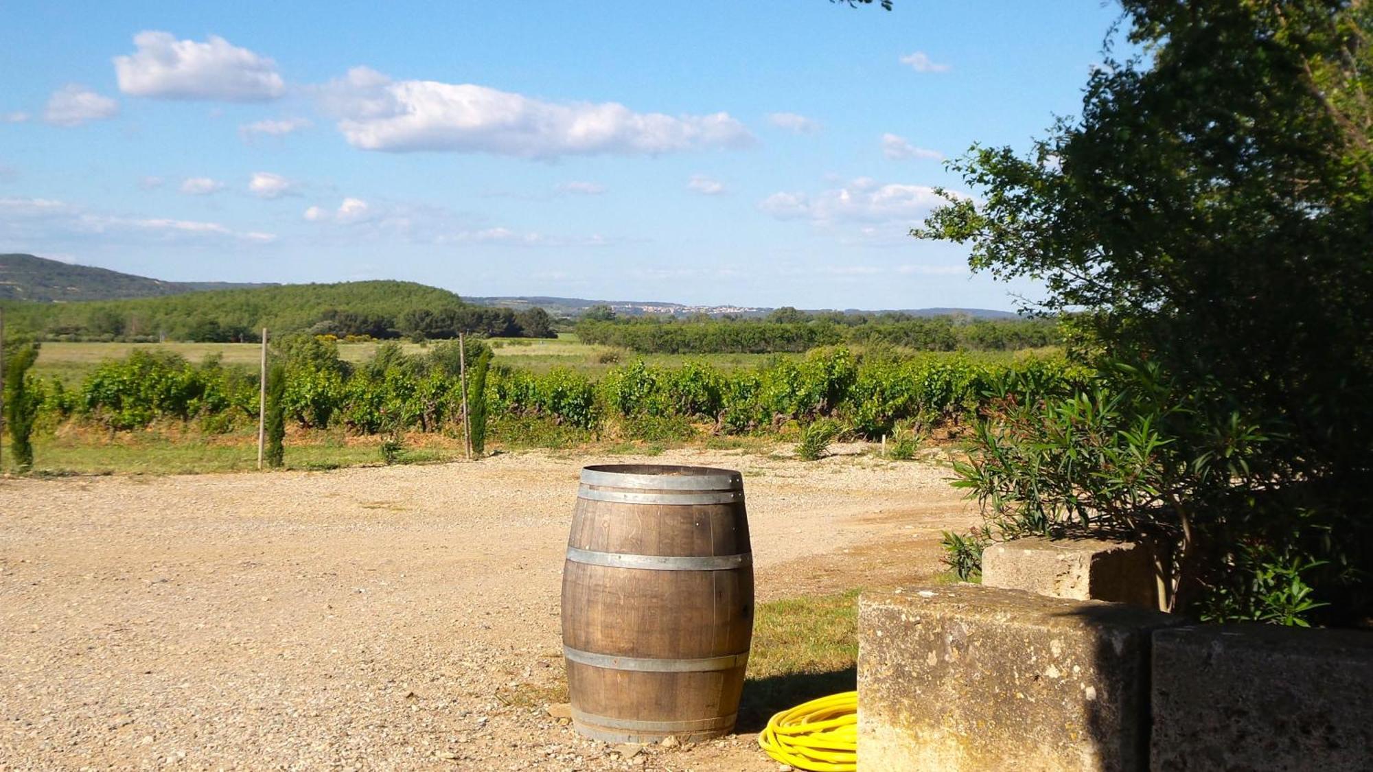 Chateau Le Vergel Authenac Ginestas Szoba fotó
